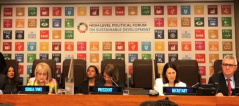 18 July 2019 The Serbian delegation at the meeting of the High-Level Political Forum on Sustainable Development